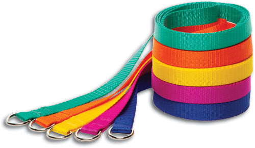 4' Neon Bright Pet Lead - Non Personalized - 250 Piece Box