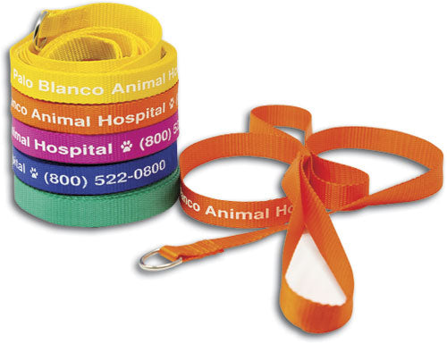 4' Neon Bright Pet Lead, 1 Side Personalized - 100 Piece Box