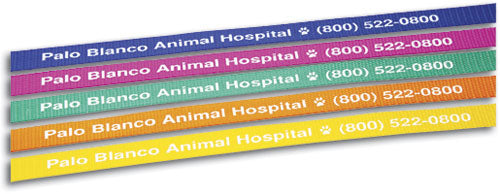 4' Neon Bright Pet Lead, 1 Side Personalized - 100 Piece Box